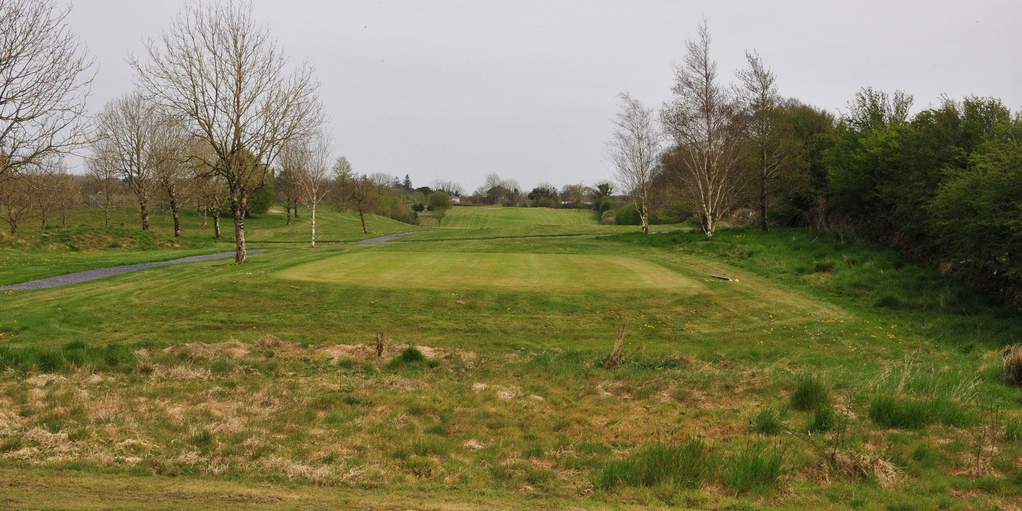 Hole 5
