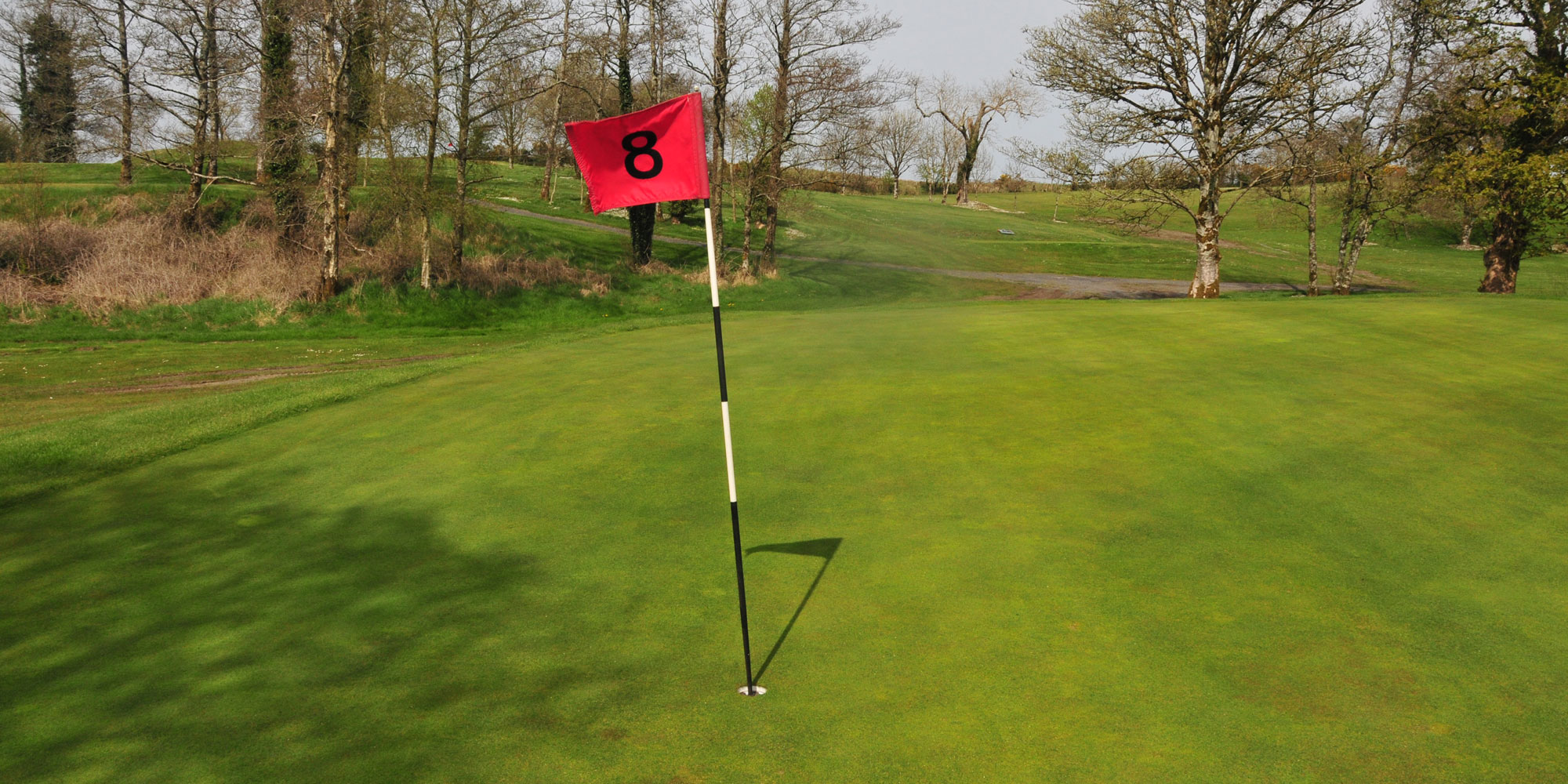 Hole 8