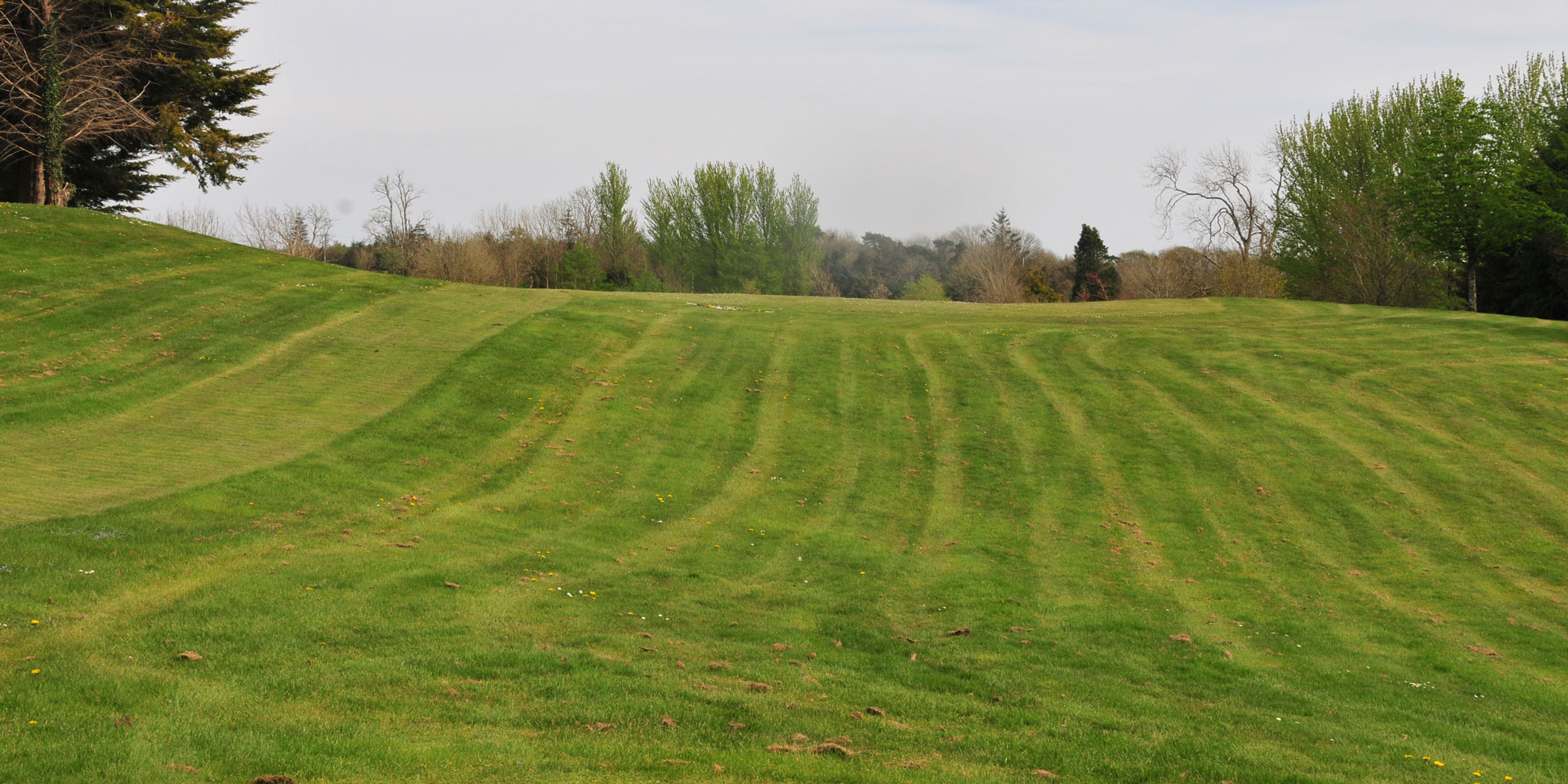 Hole 12